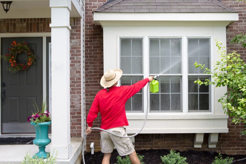House Limewashing